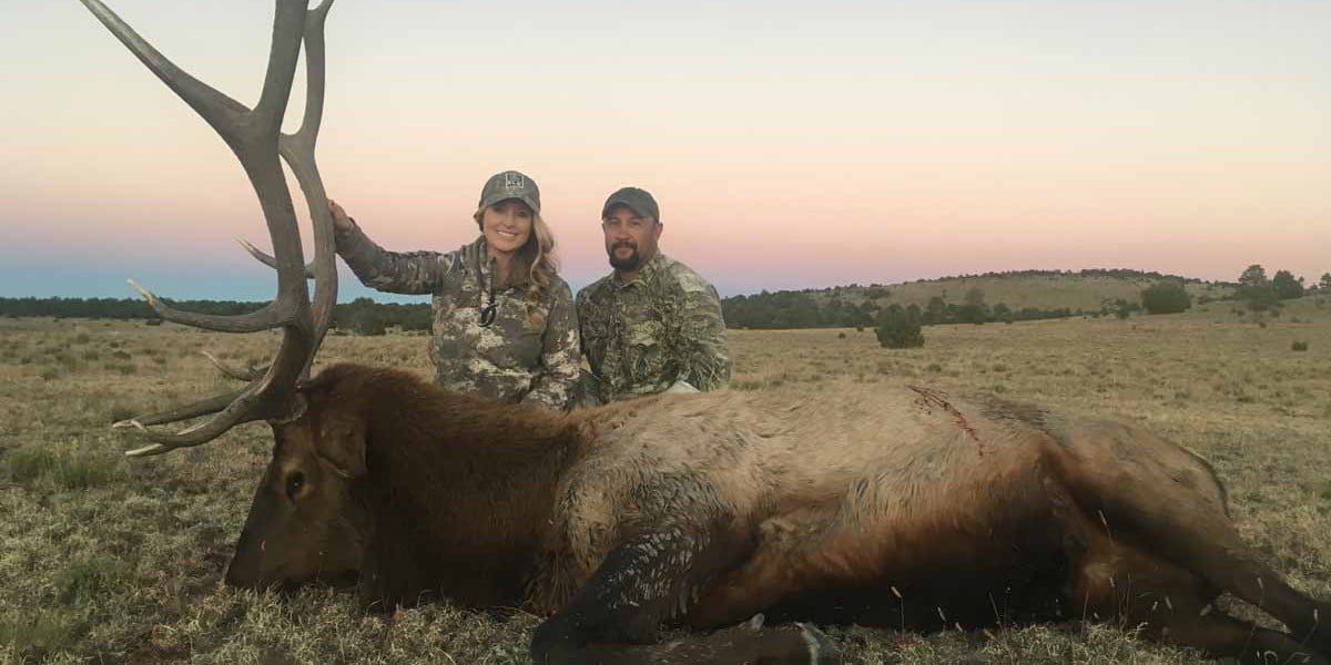 Elk Hunting Tips - Fishing & Hunting