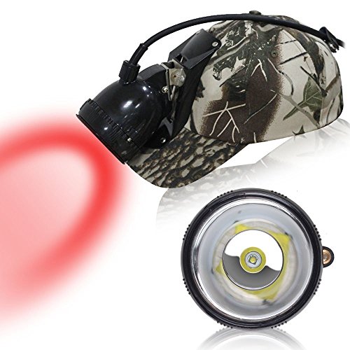 Best Coon Hunting Lights (Must Read Reviews)